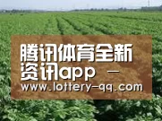 种植基地五