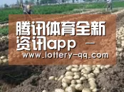 种植基地八