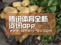 产品展示标题4
