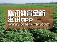 种植基地五(图1)