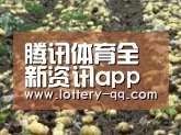 种植基地八(图1)