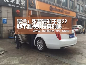 聚合:张碧晨郑子豪29秒不雅视频是真的吗 郑子豪是谁(图2) 篮球