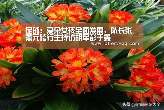 足球:爱朵女孩全面发展,队长张薰元跨行主持访胡军彭于晏(图2) 足球