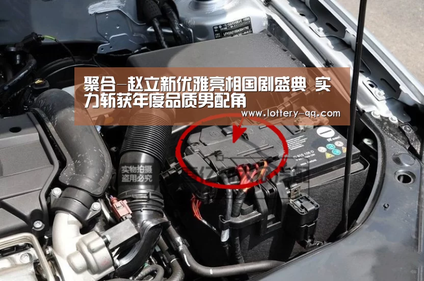聚合-赵立新优雅亮相国剧盛典 实力斩获年度品质男配角(图2) 网球