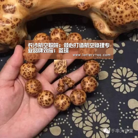 长沙航空职院:倾心打造航空修理专业品牌效应:篮球(图2) 篮球